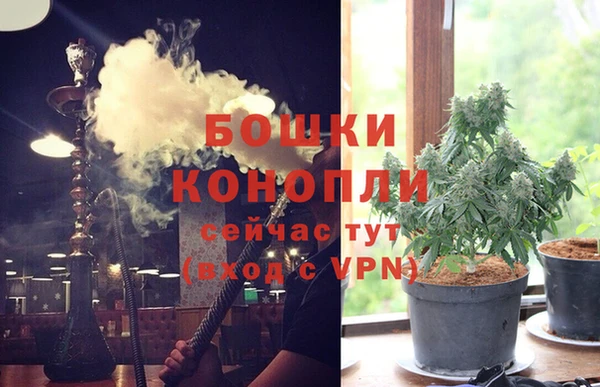 эйфоретик Белокуриха