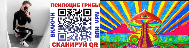 kraken зеркало  мориарти как зайти  Галлюциногенные грибы мухоморы  Кольчугино 