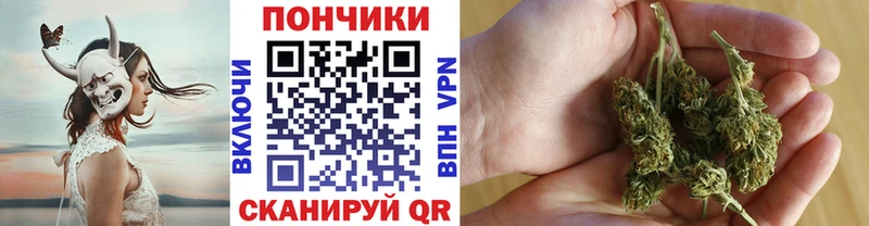 Шишки марихуана Bruce Banner Кольчугино