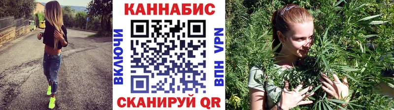 Конопля SATIVA & INDICA  закладка  Кольчугино 